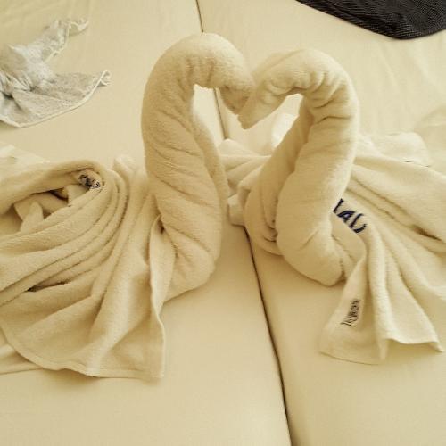 สมาชิกหมายเลข 4883863