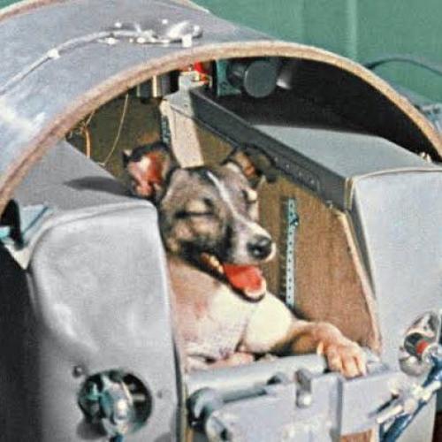 สมาชิกหมายเลข 1417030