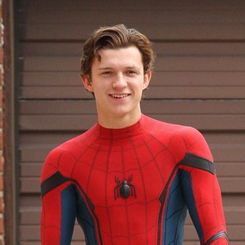 สมาชิกหมายเลข 4485082