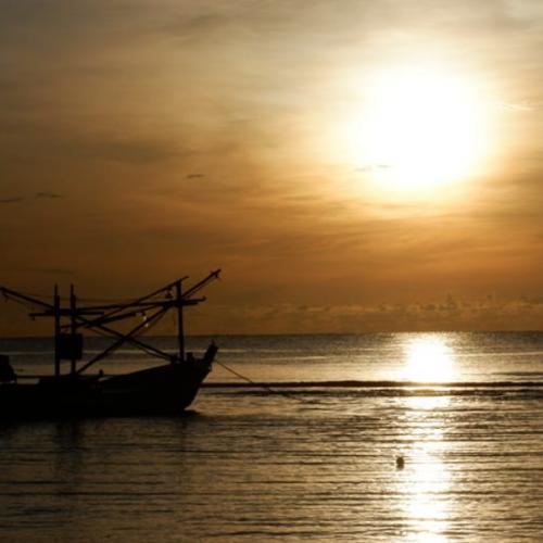 สมาชิกหมายเลข 3726501