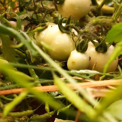 สมาชิกหมายเลข 5673055