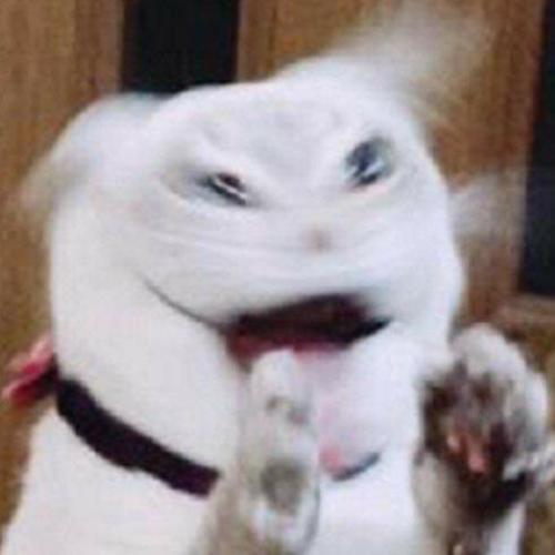 สมาชิกหมายเลข 6303737