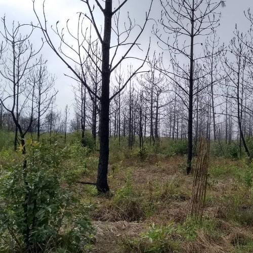 สมาชิกหมายเลข 5925740