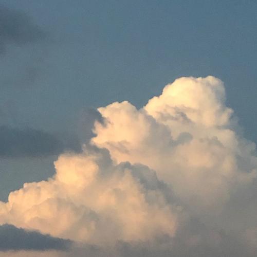 สมาชิกหมายเลข 6982745