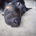 สมาชิกหมายเลข 4116721