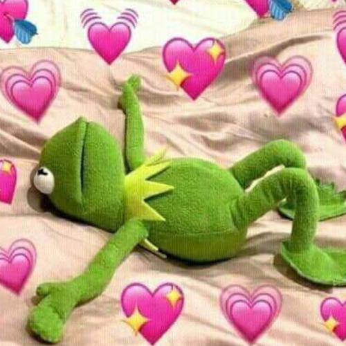 สมาชิกหมายเลข 4884059