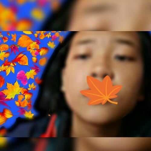 สมาชิกหมายเลข 4884238