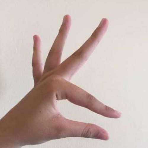 สมาชิกหมายเลข 5278255