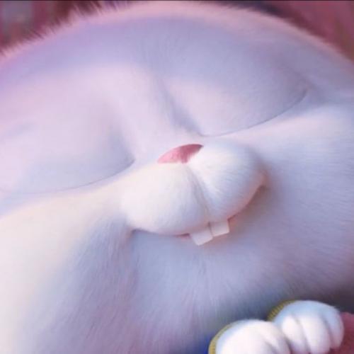 สมาชิกหมายเลข 5720938