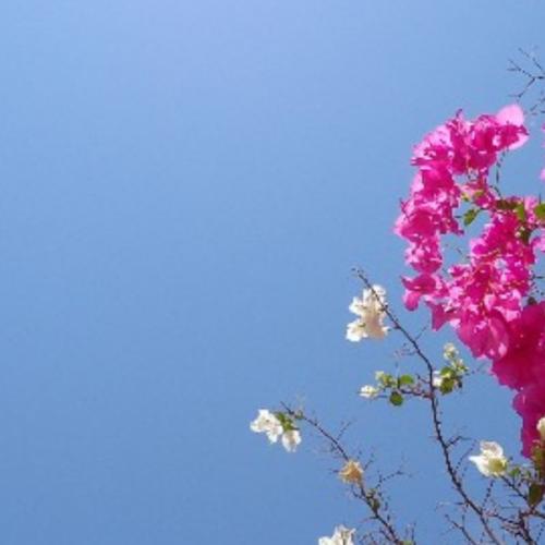 สมาชิกหมายเลข 3076583