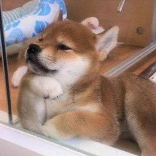 สมาชิกหมายเลข 6304673