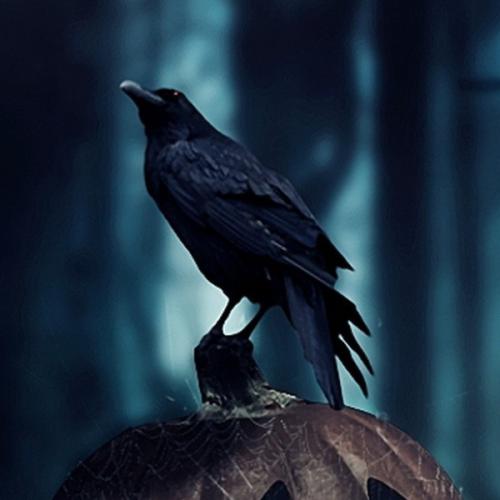 สมาชิกหมายเลข 6982916