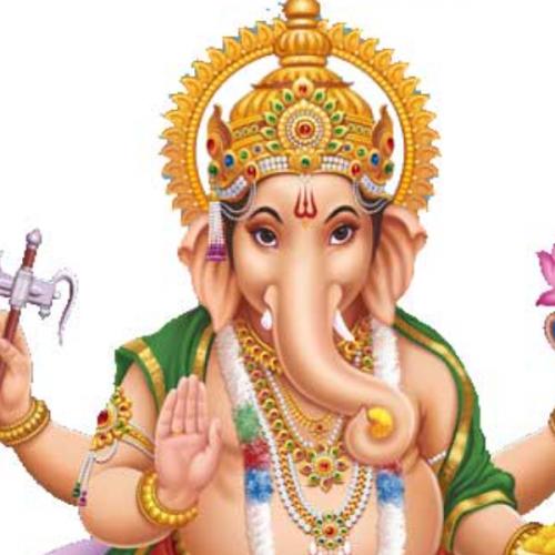 สมาชิกหมายเลข 7723999