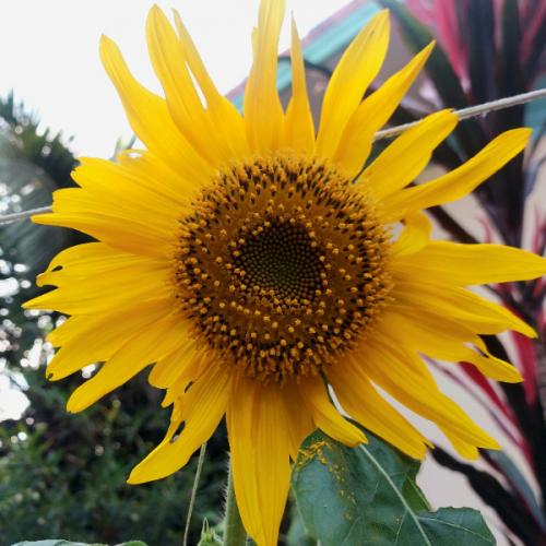 สมาชิกหมายเลข 7746796