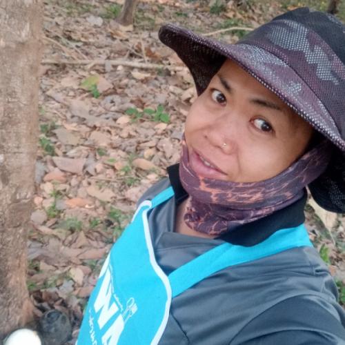 สมาชิกหมายเลข 4208234