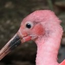 สมาชิกหมายเลข 3513907