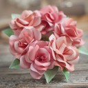 สมาชิกหมายเลข 3654357