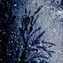 สมาชิกหมายเลข 4117405