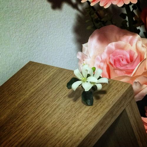 สมาชิกหมายเลข 4034000