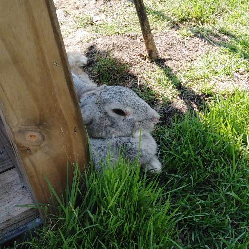 สมาชิกหมายเลข 5278291