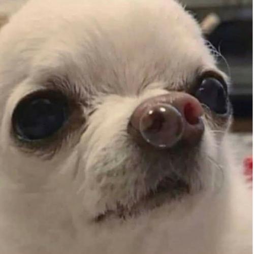 สมาชิกหมายเลข 4833478