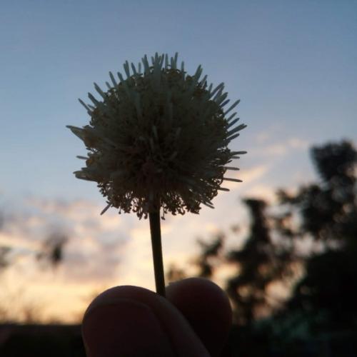 สมาชิกหมายเลข 5722651