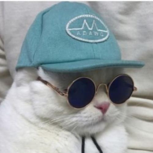 ผู้หมวดหนวดยาว