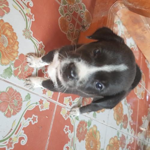 สมาชิกหมายเลข 6305020