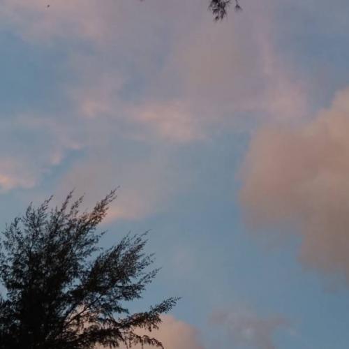 สมาชิกหมายเลข 6982731