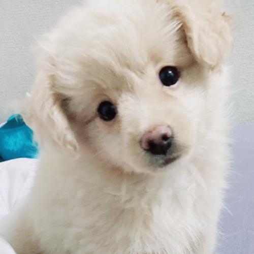 สมาชิกหมายเลข 6984040