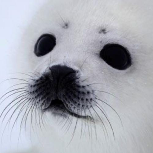 สมาชิกหมายเลข 7748854