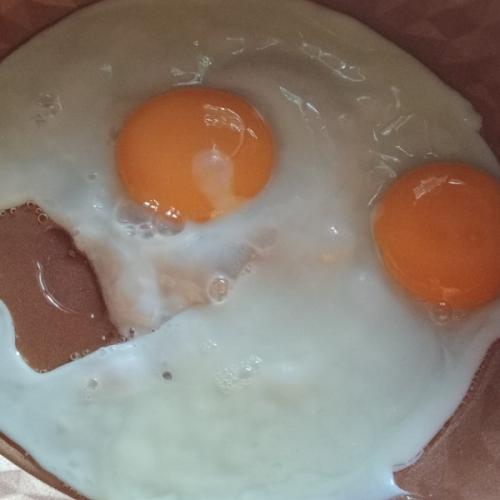 สมาชิกหมายเลข 8704569