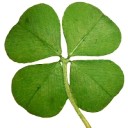 สมาชิกหมายเลข 1914211