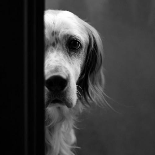 สมาชิกหมายเลข 4504650