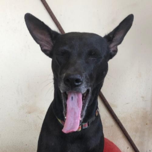 สมาชิกหมายเลข 4904228