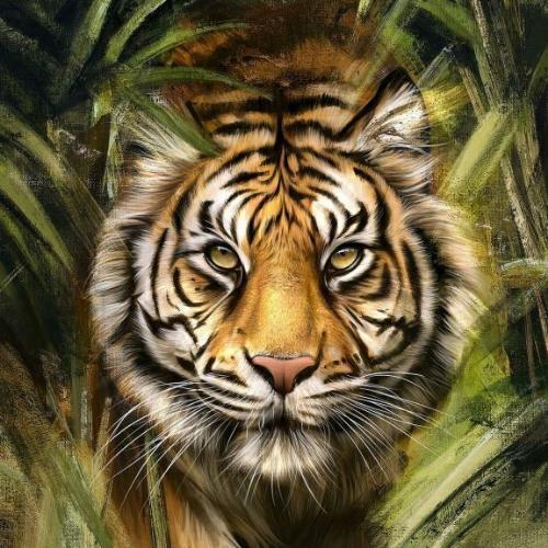 สมาชิกหมายเลข 4033374