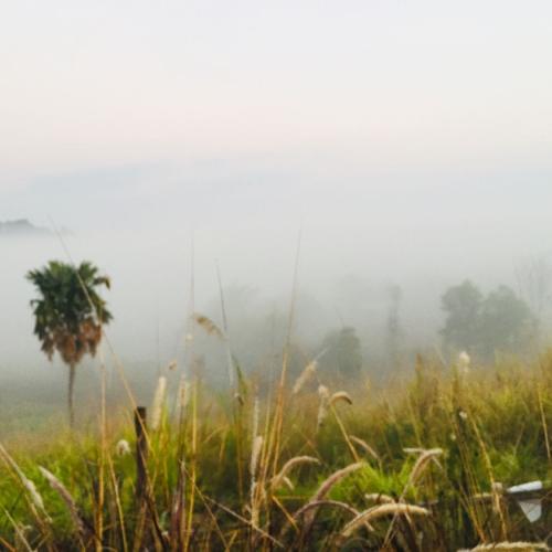 สมาชิกหมายเลข 1093621