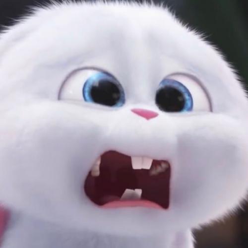 สมาชิกหมายเลข 6423012