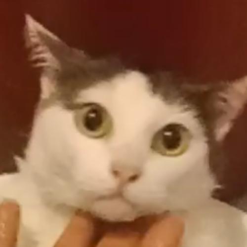 สมาชิกหมายเลข 6984827