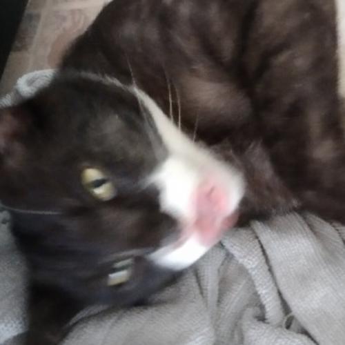 สมาชิกหมายเลข 7749222