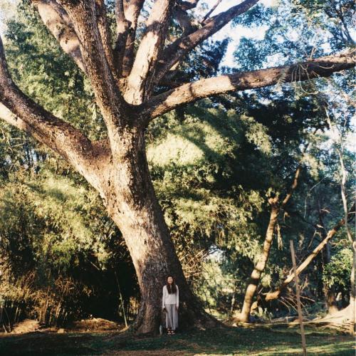 สมาชิกหมายเลข 2584274