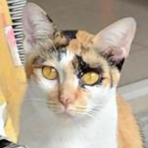 สมาชิกหมายเลข 8402487