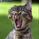 สมาชิกหมายเลข 1101342