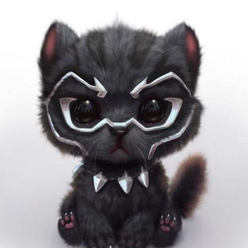 สมาชิกหมายเลข 2171448