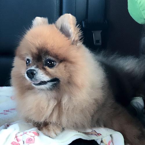 สมาชิกหมายเลข 4544517