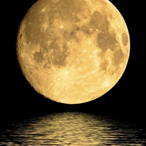 สมาชิกหมายเลข 4826842