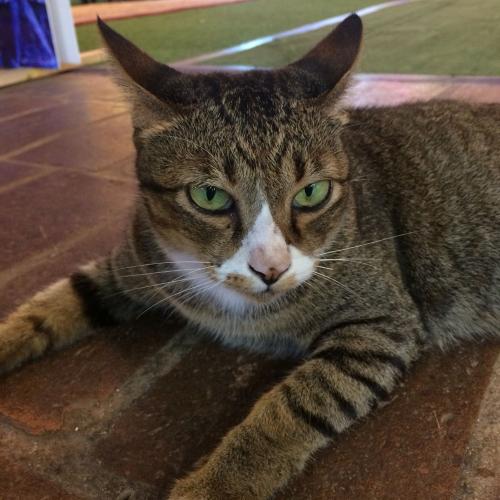 สมาชิกหมายเลข 4885144