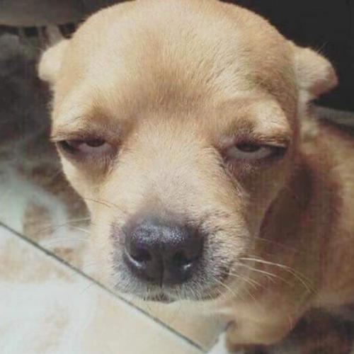 สมาชิกหมายเลข 4464299