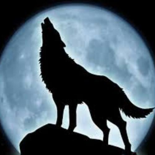 สมาชิกหมายเลข 5279346