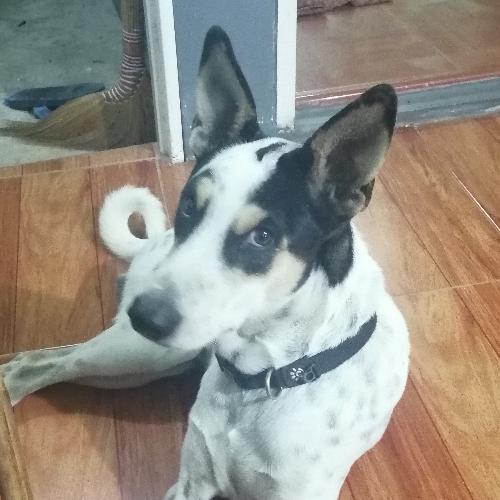 สมาชิกหมายเลข 4130940